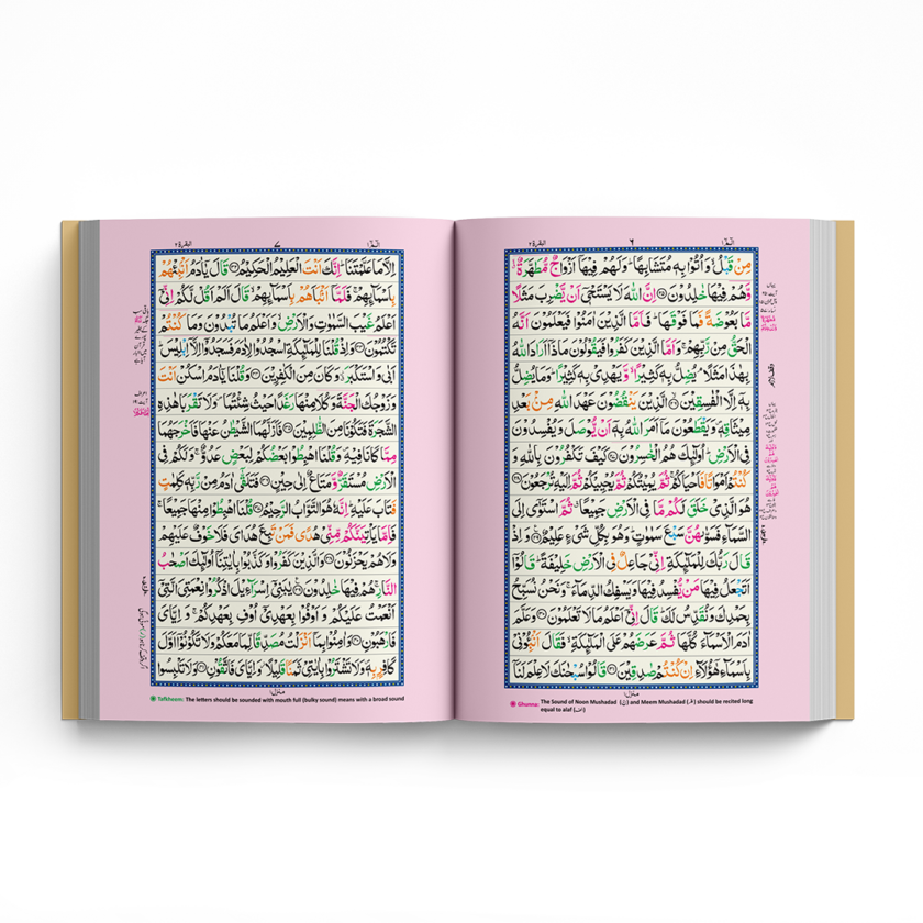 Quran Pak QR-22 & QR-22Z Tajveedi 16 Lines Art Paper - Image 3