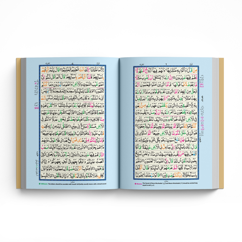 Quran Pak QR-18 Tajveedi 16 Lines Offset Paper - Image 3