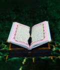 Quran Pak Gift Box QR-11SSB - Image 4