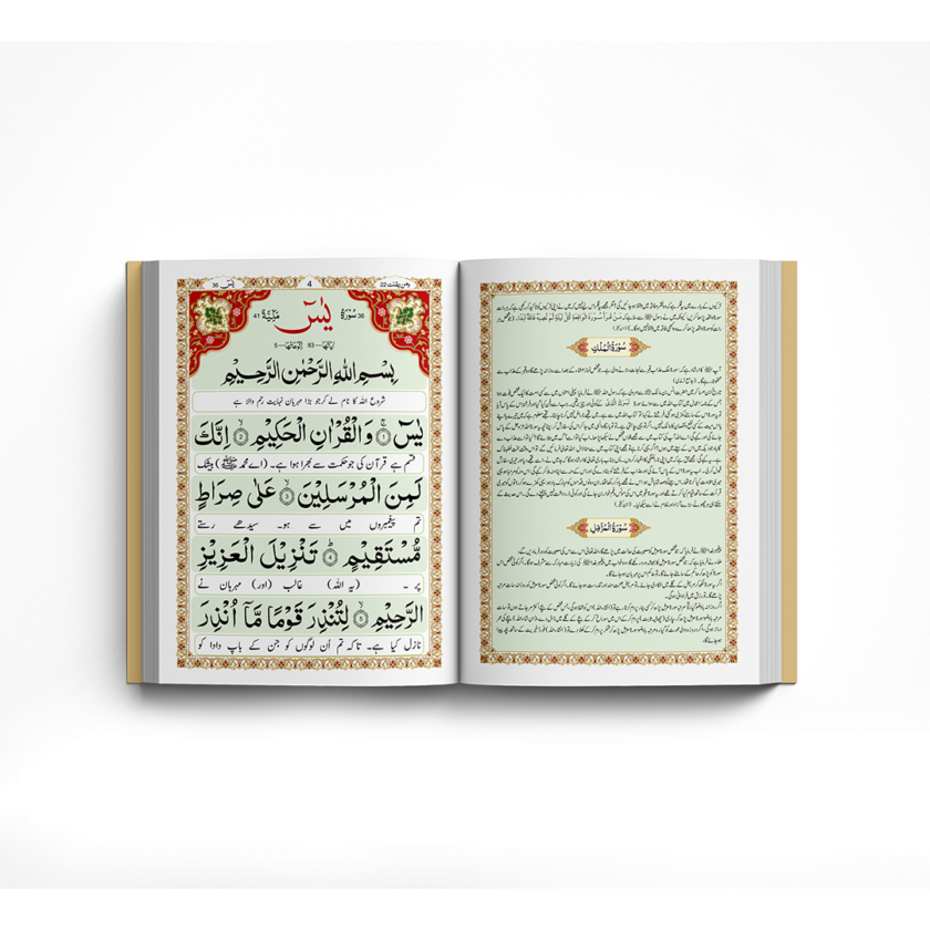 Punj Surah Mutarjam Q8J Art Paper - Image 3