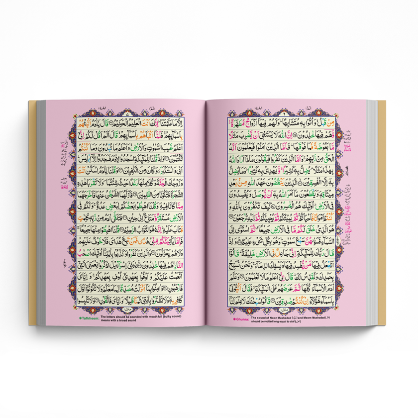 Quran Pak QR-13 & QR-13Z Tajveedi 16 Lines Offset Paper - Image 3