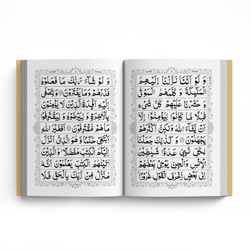 Para no 8 Q-108 - Image 2